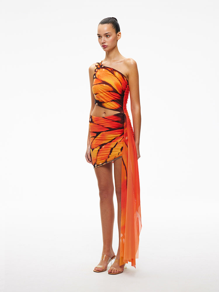 XENASERA DANAUS GENUTIA WING/ASTEROPE PECHUELI WING DRESS